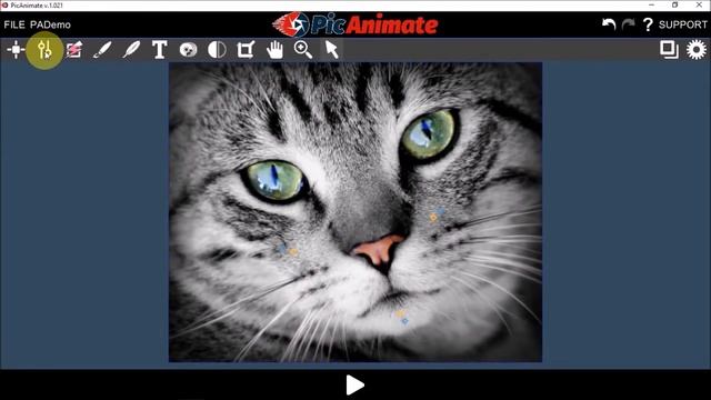 PicAnimate Review | Photo Animation App смотреть онлайн