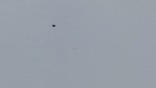 25 февраля 2021 г. смотреть онлайн