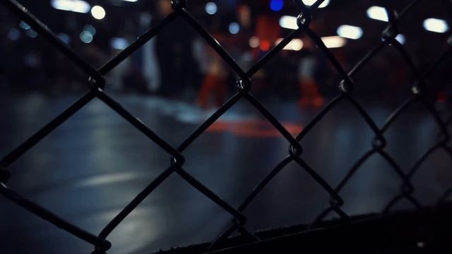 VLOG-взвешивание и турниры смотреть онлайн