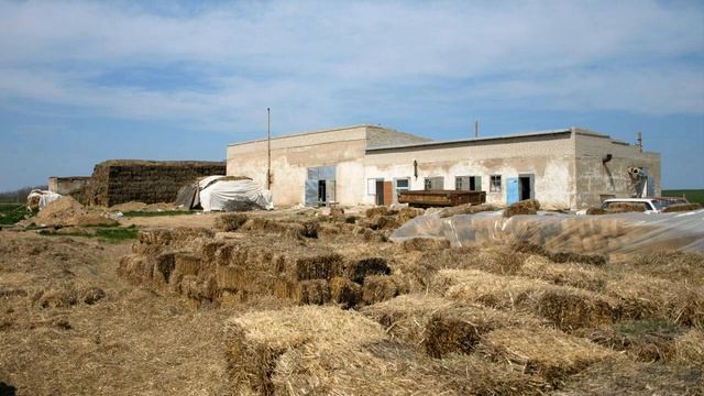 Как выращивать вешенку в мешках и начать грибной бизнес смотреть онлайн