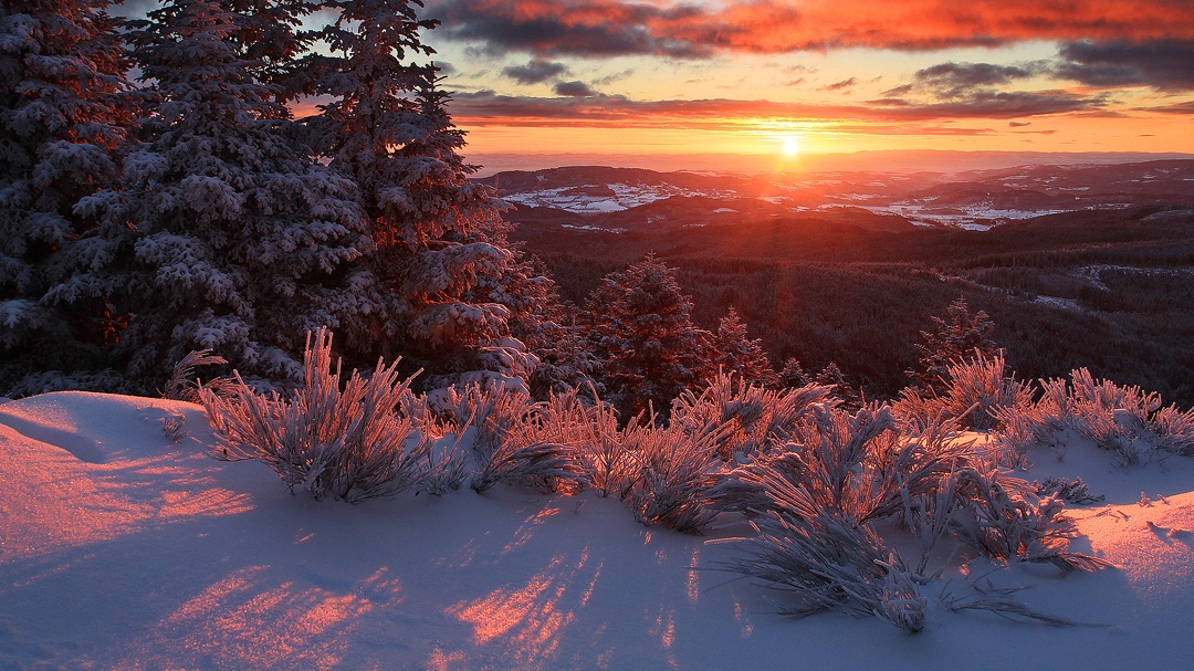 Lara Fabian. "Мама моя" (всем мамам посвящается) музыка Игорь Крутой слоава Лара Фабиан смотреть онлайн