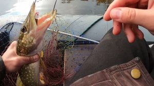 Щука с лодки 29.10.24