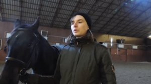 Стоит ли покупать лошадь с бойни?