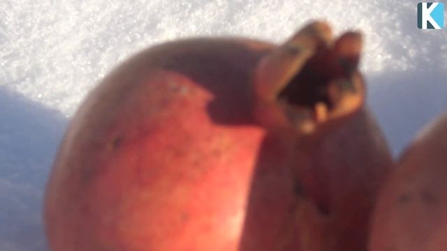 ҚҰРАНДА АЙТЫЛҒАН ҚАСИЕТІ МОЛ ЖЕМІСТІ БІЛЕСІЗ БЕ смотреть онлайн