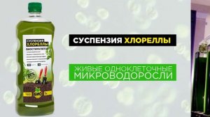 Суспензия хлореллы инструкция по применению