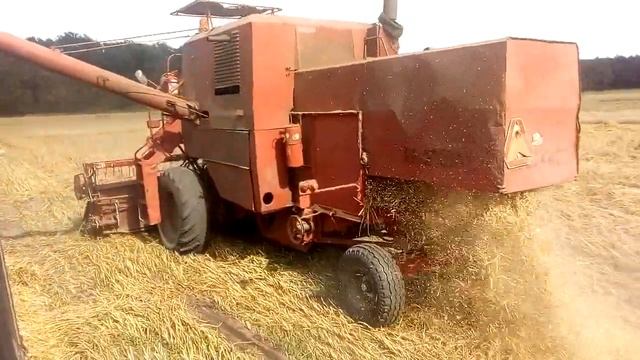 Żniwa owca 2017 ursus c330 bizon 040 смотреть онлайн