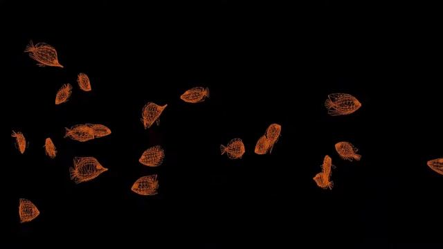 Marine Aquarium - Line Fishs - 1080p Screensaver 🦈🐡🐠🐟 смотреть онлайн