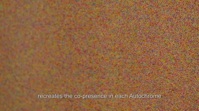 Dove Allouche, La Dernière couleur - par Pascal Beausse (VOSTeng) смотреть онлайн