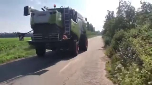 Новий комбаїн CLAAS TRION 650 і жатка CLAAS VARIO 770 з вбудованим рапсовим столом. смотреть онлайн