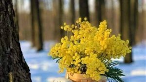 С ПРЕКРАСНЫМ ПРАЗДНИКОМ 8 МАРТА!