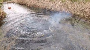 ✅🔥Top 500 FIRECRACKERS vs RIVER🌊EXPLODE DIFFERENT POWERFUL Firecrackers | HUGE BOMBS IN RIVER🔴Part