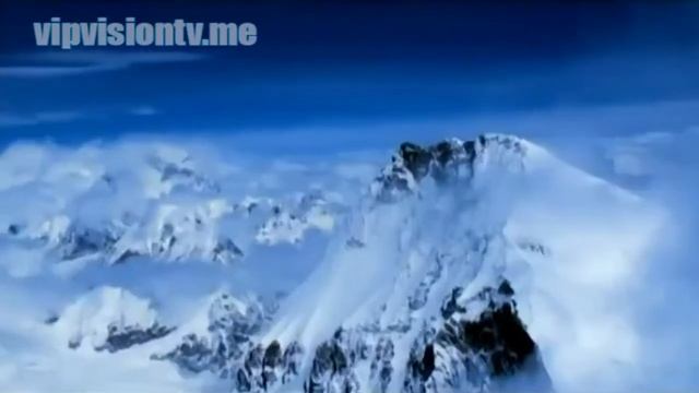 Компания Vision - отзывы известных людей