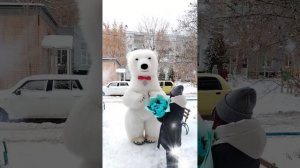Поздравление от белого мишки в Оренбурге
