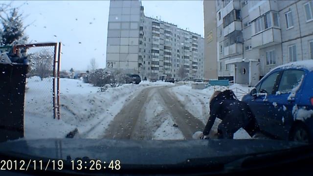 г.Кемерово Свободы, 29а ...не видел эту собачонку смотреть онлайн