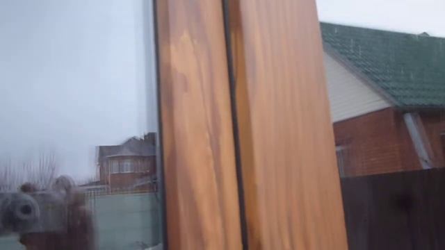 Античная сосна 2 смотреть онлайн