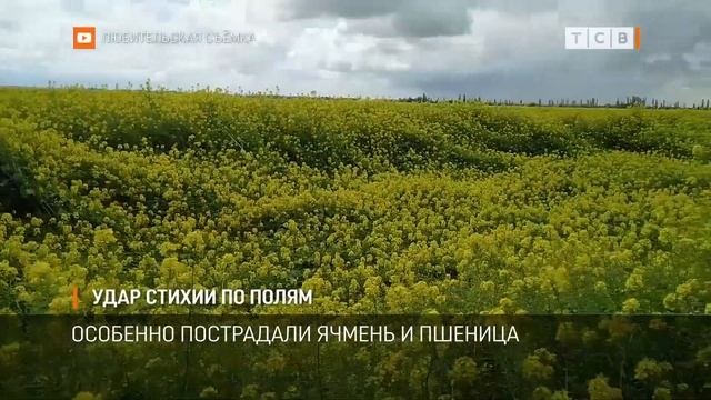 Удар стихии по полям смотреть онлайн