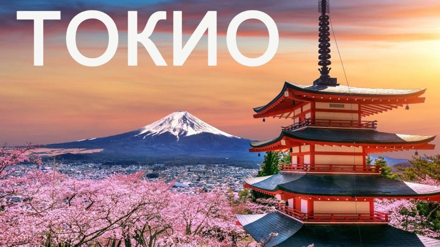 Токио. Путешествие по столицам мира #япония #интересныефакты #путеводитель смотреть онлайн