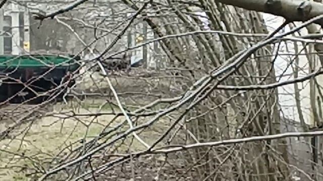 кормление ворон 14 часть 3 смотреть онлайн