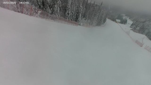20250119_141507 смотреть онлайн
