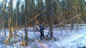Установка ловушек для боровой птицы. Селки для рябчиков, журавель для глухаря.