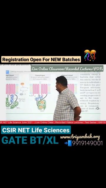 Molecular Function of CFTR смотреть онлайн