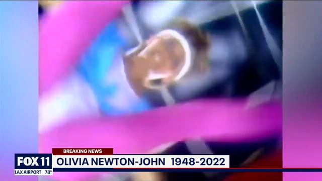 'Grease' star Olivia Newton-John dies at 73 смотреть онлайн
