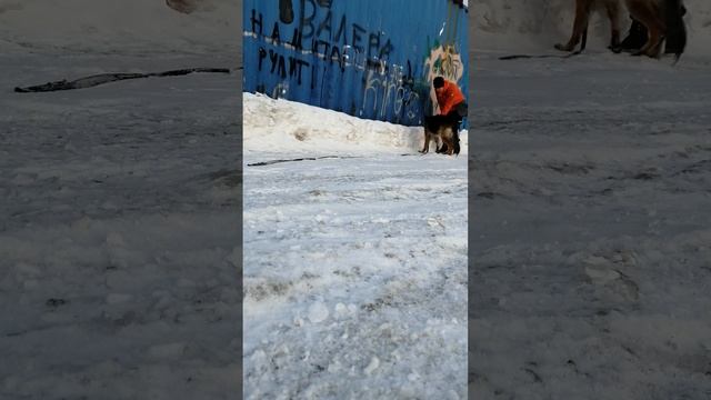 9 марта 2023 г. смотреть онлайн