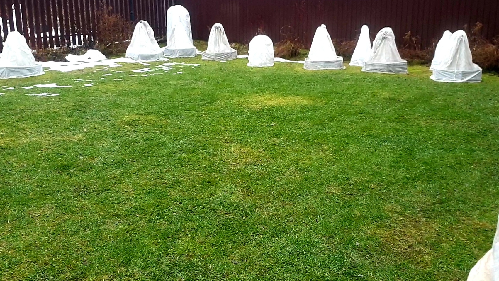 Спасаю розы возле беседки от воды. Подмосковье. 18.01.2025 г. смотреть онлайн