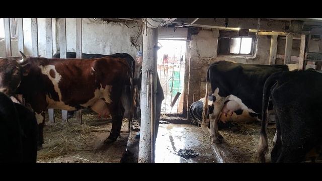 Все о чем обещала смотреть онлайн