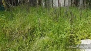 Это всё выкидывают в Австралии на улицу.Тонны секонд хенд и новые вещи.Свалка Шпермюль