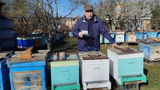 Пчелопакет по ГОСТ 20728 2014 состав и цена смотреть онлайн