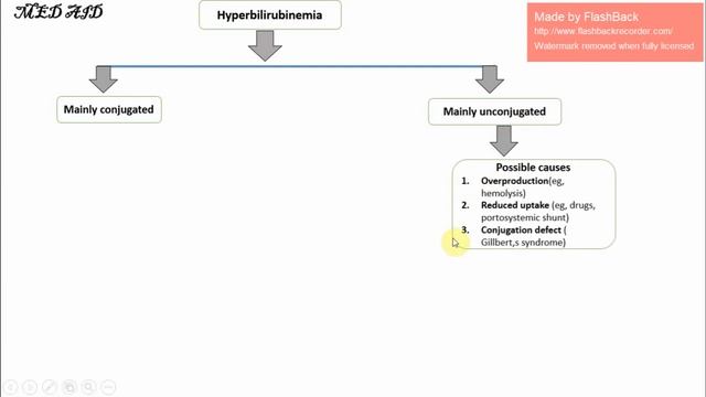 Evaluation of hyperbilirubinemia and jaundice in adults in Dari смотреть онлайн