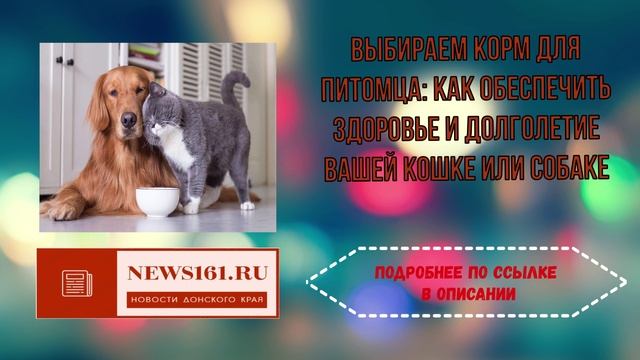 Выбираем корм для питомца как обеспечить здоровье и долголетие вашей кошке или собаке смотреть онлайн
