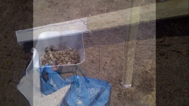 SP9WZS_Antena 80m band смотреть онлайн