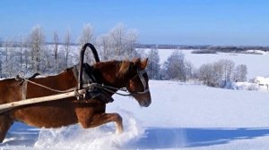 В деревню к бабушке в далёкое детство