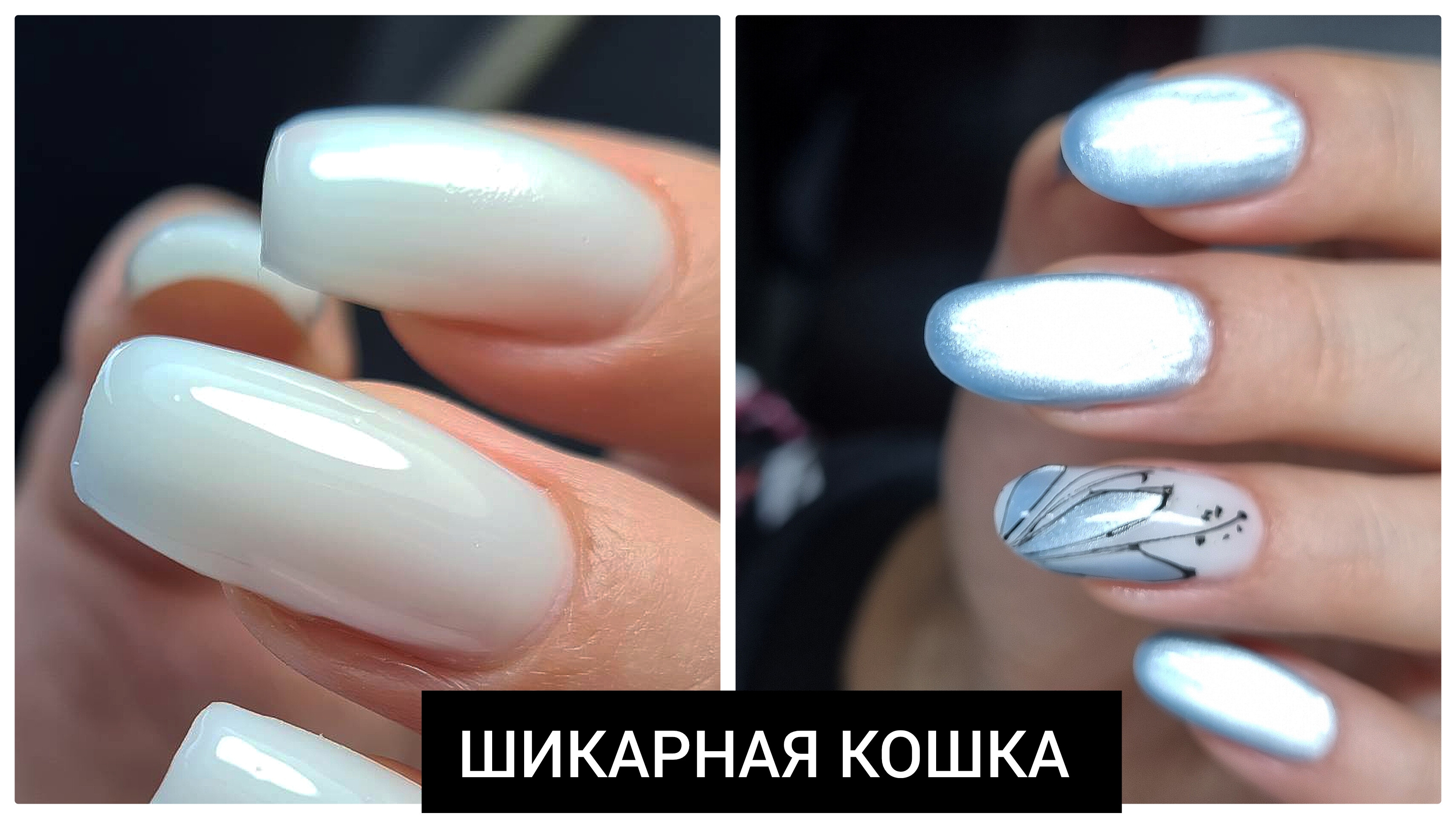 от этой КОШКИ клиенты С УМА СХОДЯТ