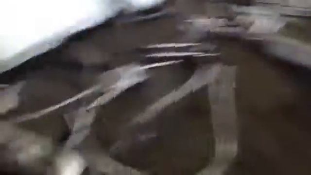 LD-pro20w lederon смотреть онлайн