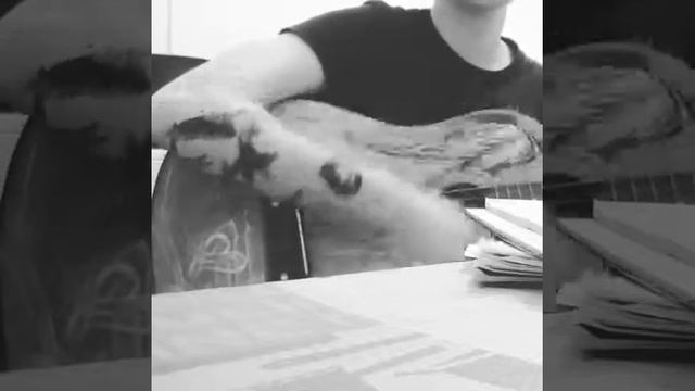 Eva Miatej ПФ - Прости Прощай Привет(фрагмент) смотреть онлайн