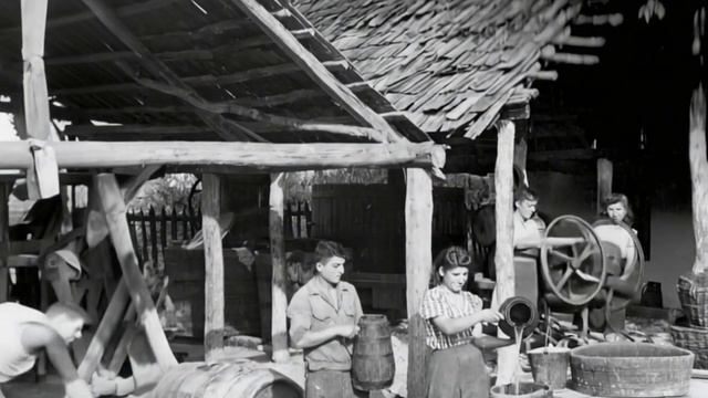 Винодельня NEA ZOI в Прасковеевке. ИИ - Генерация смотреть онлайн