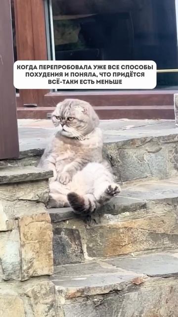 юмор