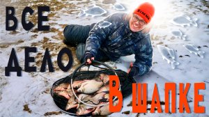 Всё дело в Шапке. Отчёт с фидерной рыбалки в Капотне.