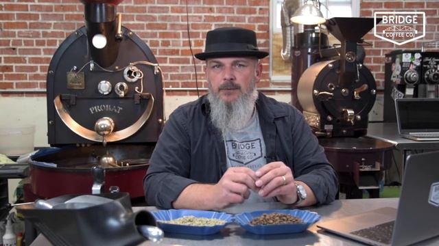 2nd Wave of Coffee смотреть онлайн