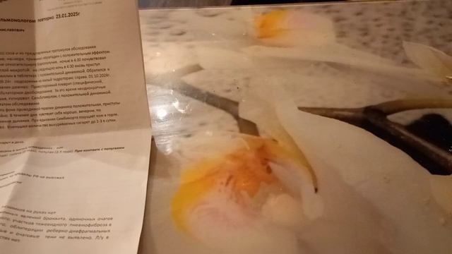 Живем по меню/23.01.2025 четверг смотреть онлайн