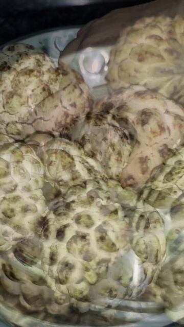 सीताफल | Custard Apple Sitaphal #sitaphal #fruit #shorts смотреть онлайн