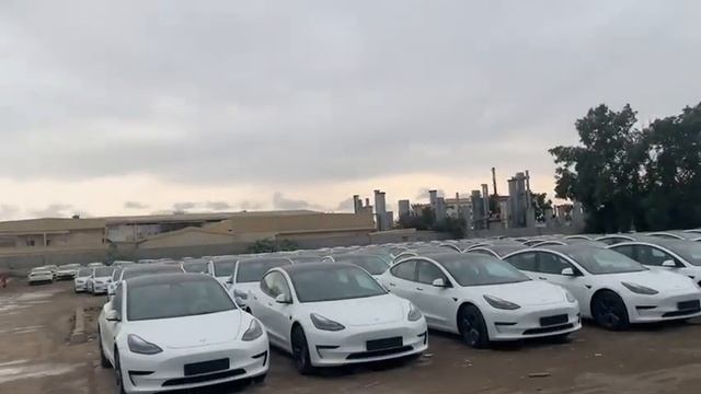 тесла 2023 год пакет пробек 0 цена 65.000$ смотреть онлайн