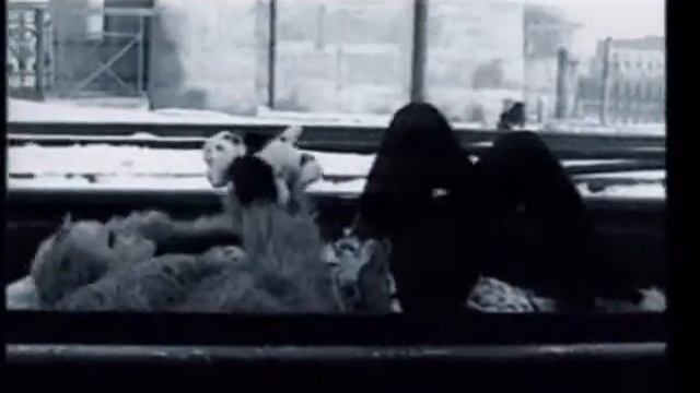 Тараканы - Поезд в сторону Арбатской смотреть онлайн