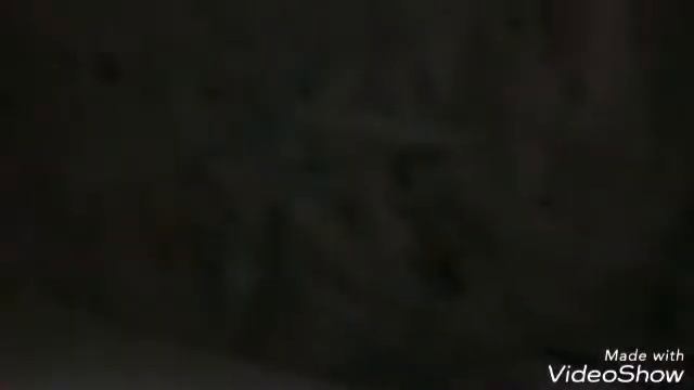 Видео-знакомсво с Шуриком/by Шиншилла Love смотреть онлайн