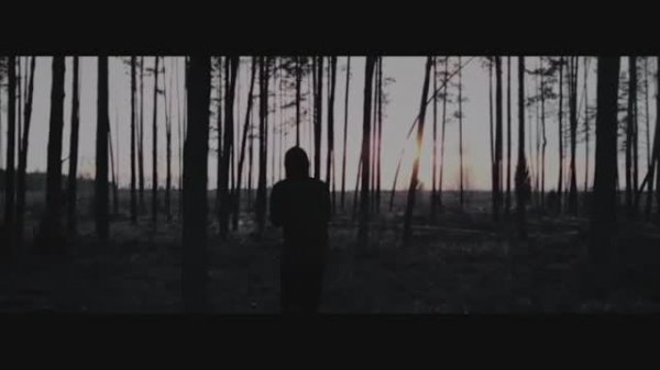 passmurny - Сердце (mood video)