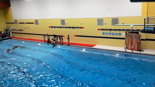 Выступление пингвинов и русалкок смотреть онлайн