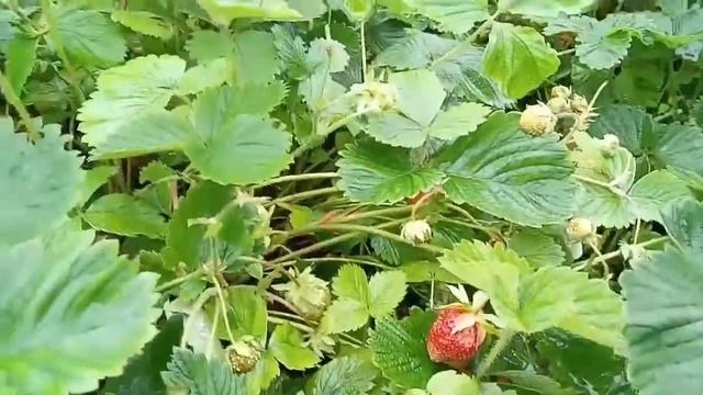Твое окружение это твое отражения, Люби и цени это смотреть онлайн